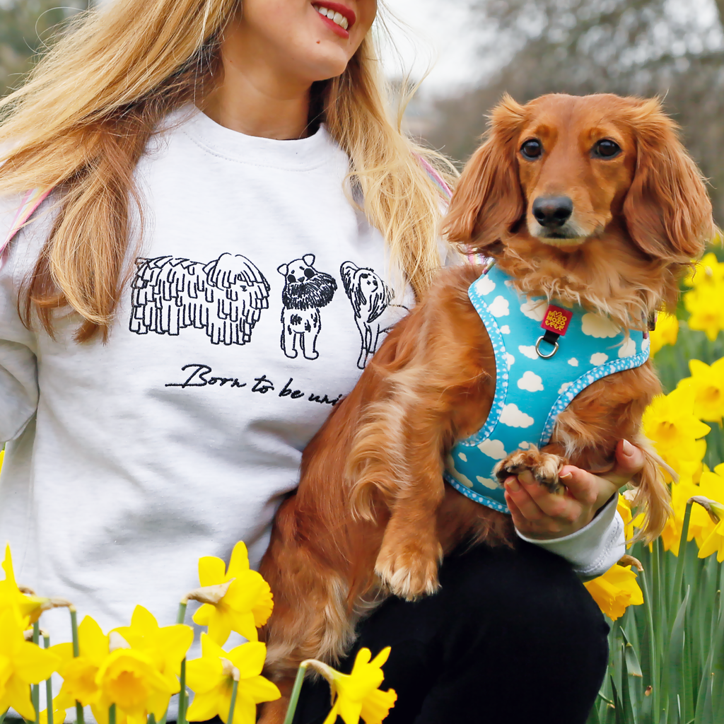 locally embroidered crew neck sweatshirt, jumper. Soft cotton. Dog embroidered sweatshirts. Born to be unique sweatshirt. Puli, chinese crested, brussels griffon. Mop dog. 