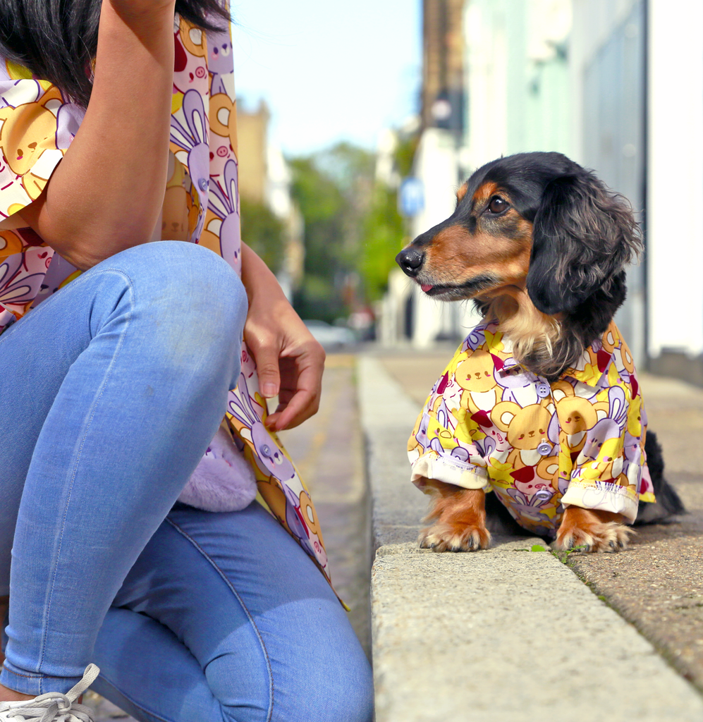Button up dog/cat shirt - Tomo ✦RARE✦