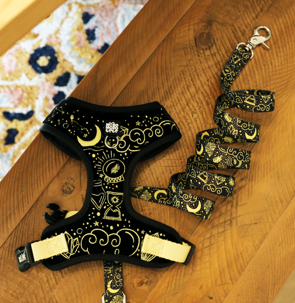 Magical - Mysterious (black) adjustable harness ✦RARE✦