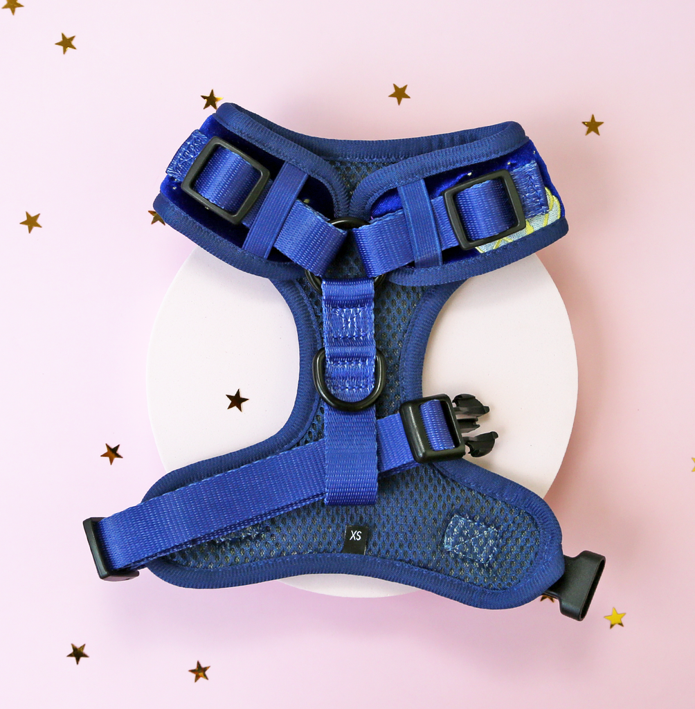 Magical - Royal (blue) adjustable harness ✦RARE✦