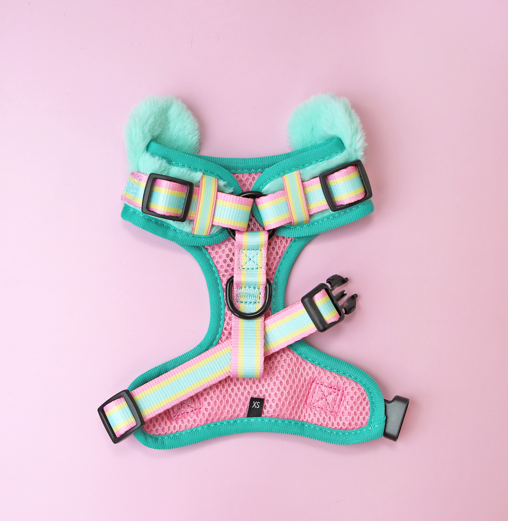 Ramen-kuma adjustable harness •ᴥ• ふわふわクマ ✦RARE✦