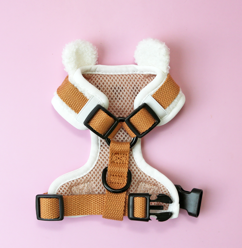 Furaido Tayto-kuma adjustable harness •ᴥ• ふわふわクマ ✦RARE✦