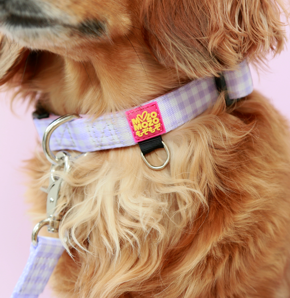 Barby gingham collar