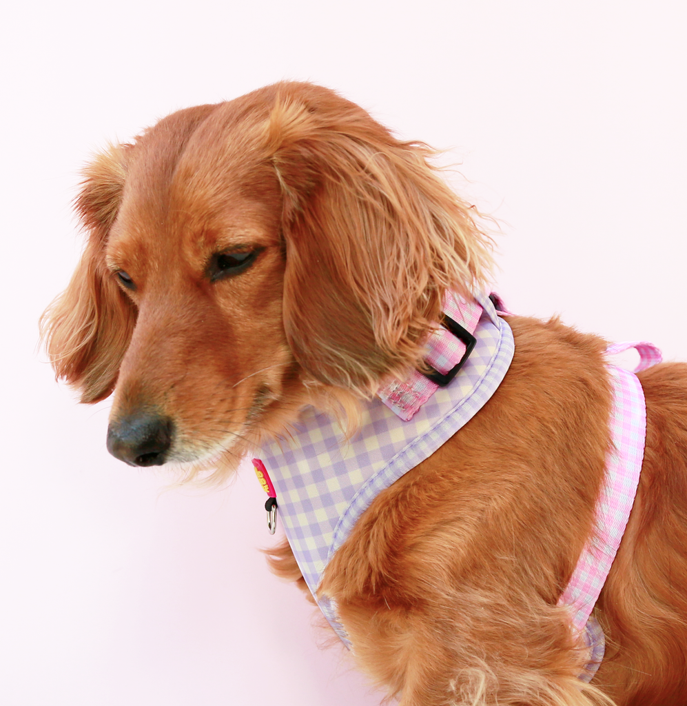 Barby gingham adjustable harness