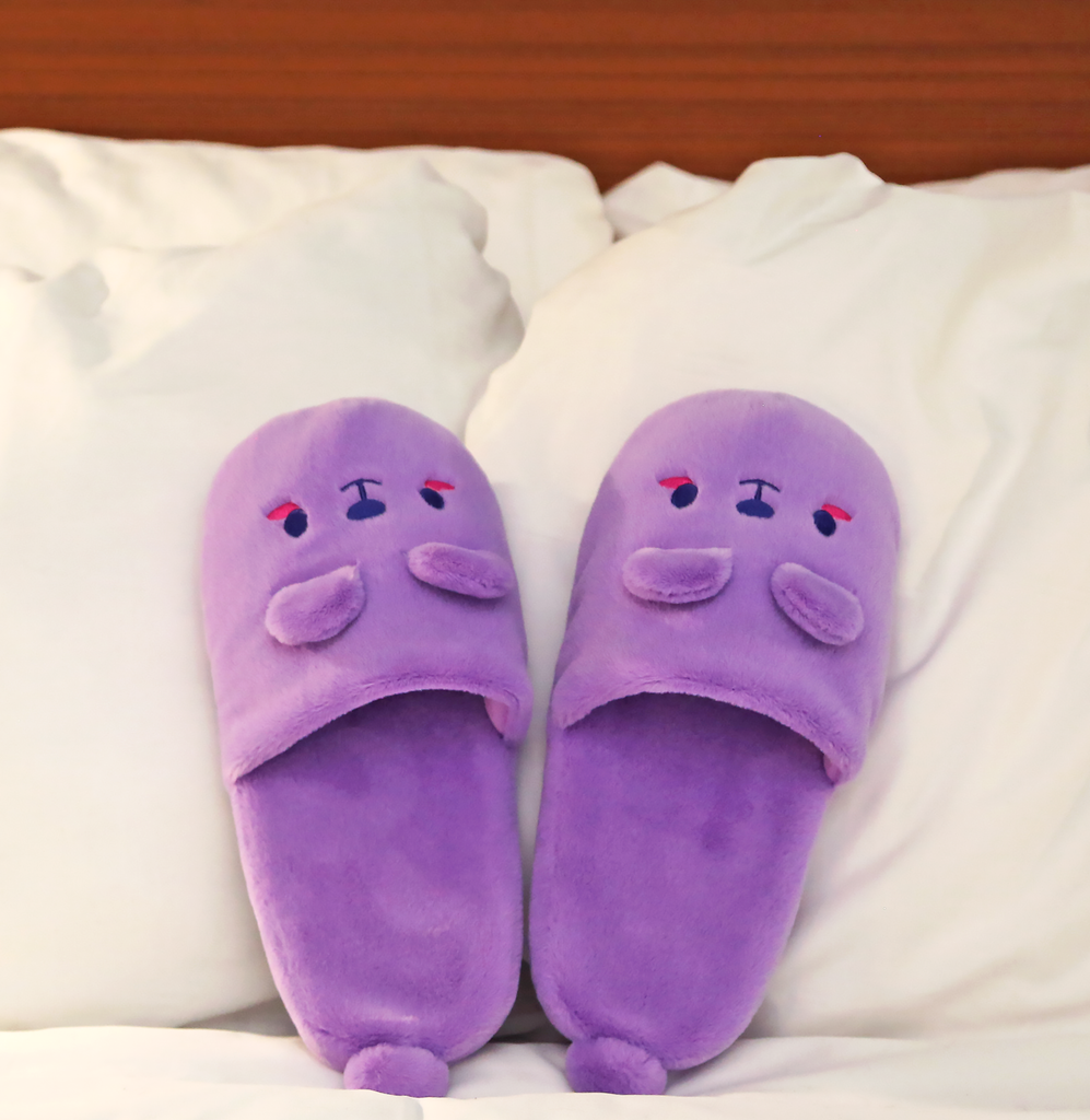 Taro-kuma plush slippers •ᴥ• ふわふわクマ ✦RARE✦