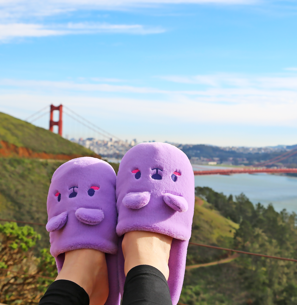 Plush slippers on sale