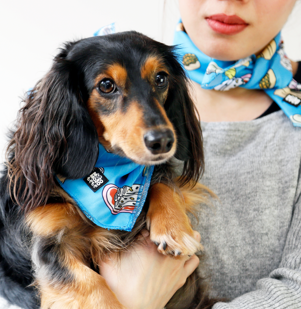 Soft breathable polyester bandana for dogs, wrapping boxes or lunch boxes, hair ties, handbag handle scarf, neck scarfs. Dim sum design.