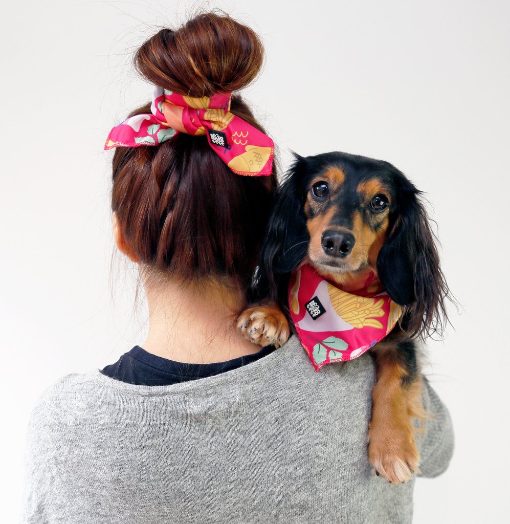 Soft breathable polyester bandana for dogs, wrapping boxes or lunch boxes, hair ties, handbag handle scarf, neck scarfs. Fish & chips design.