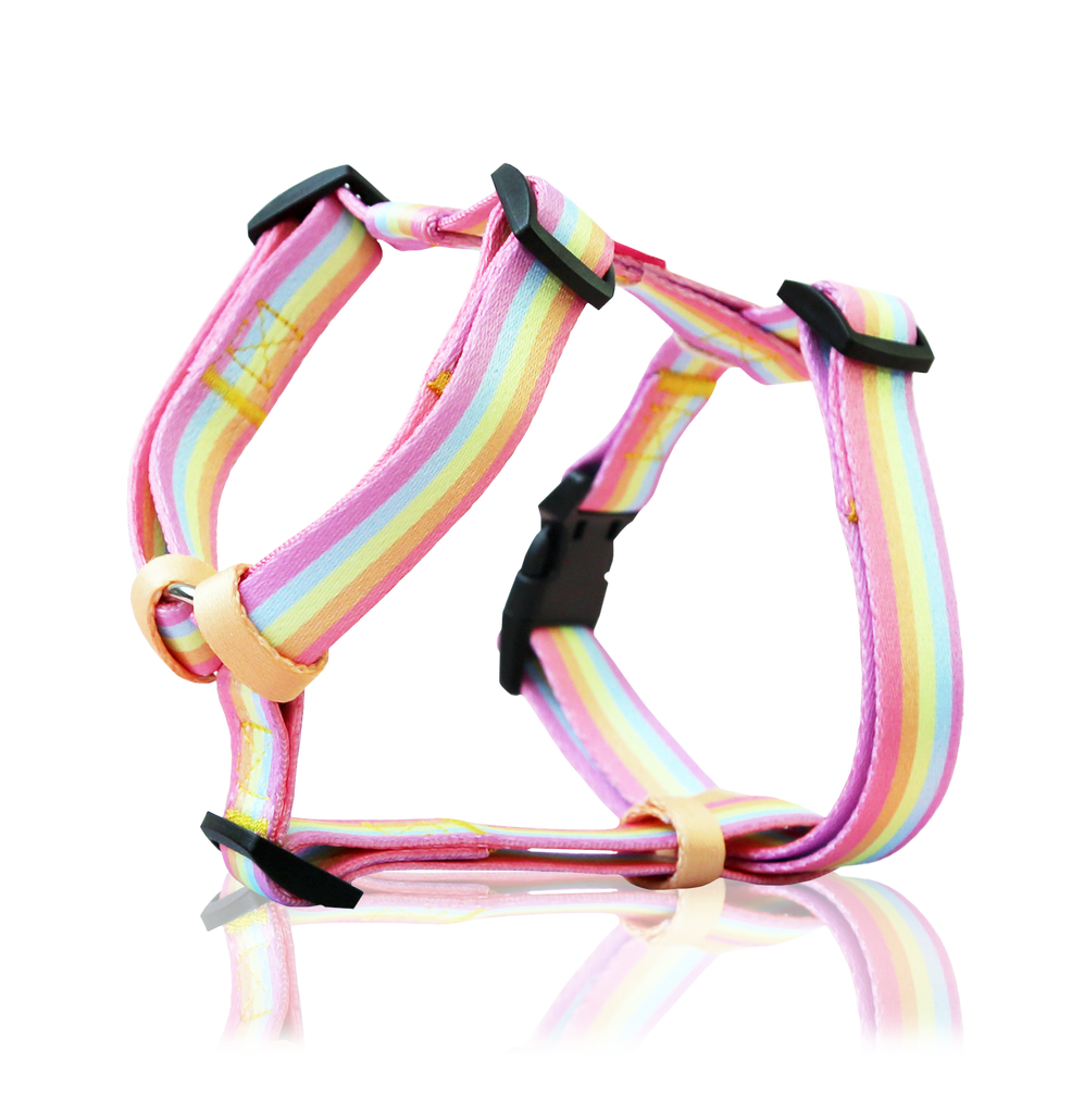 Rainbow strap harness ✦RARE✦