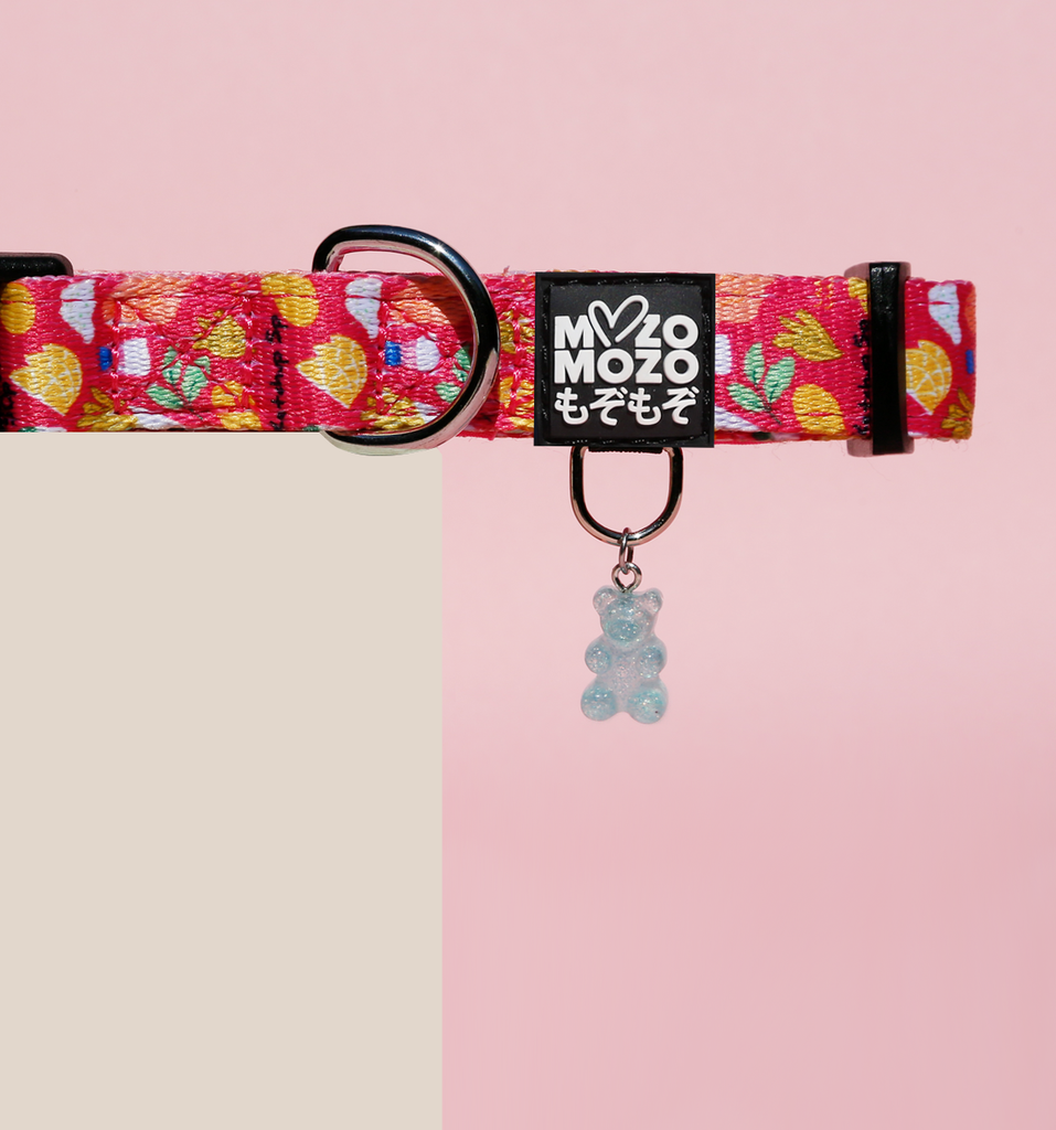 Acrylic resin gummy bear charm and id tag pendant