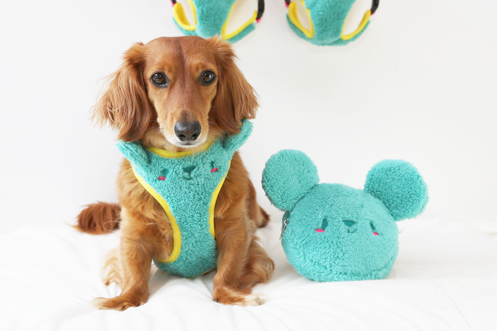 Teddy, fleece, mesh, bear, fluffy, soft dog harness, dog accessories.