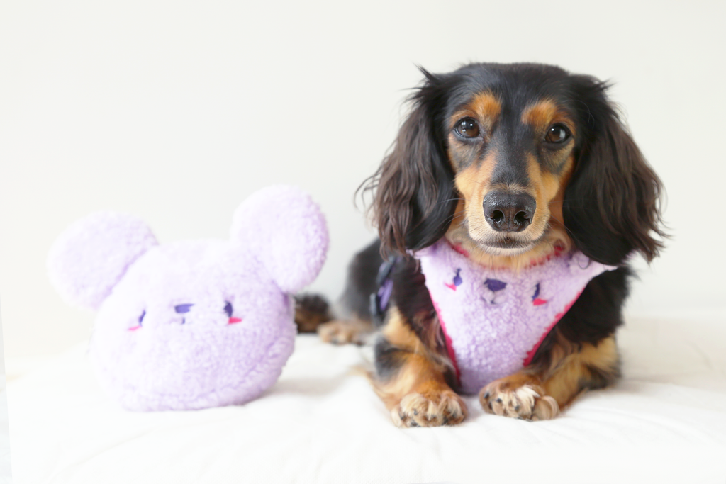 Moemoe bear dog clearance harness