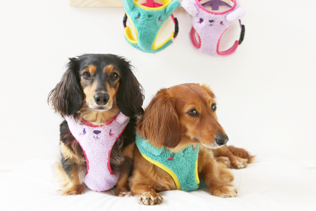 Teddy, fleece, mesh, bear, fluffy, soft dog harness, dog accessories.
