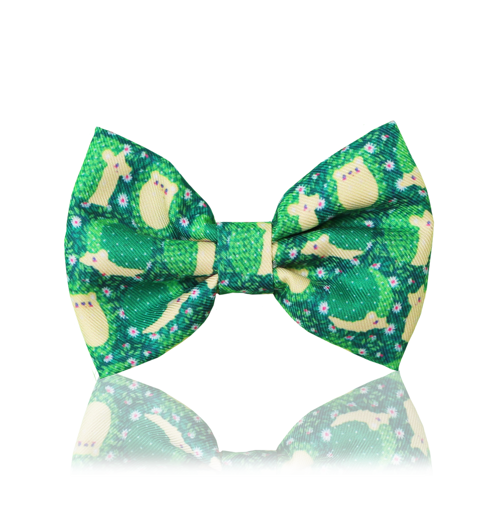 Soft polyester bow-tie