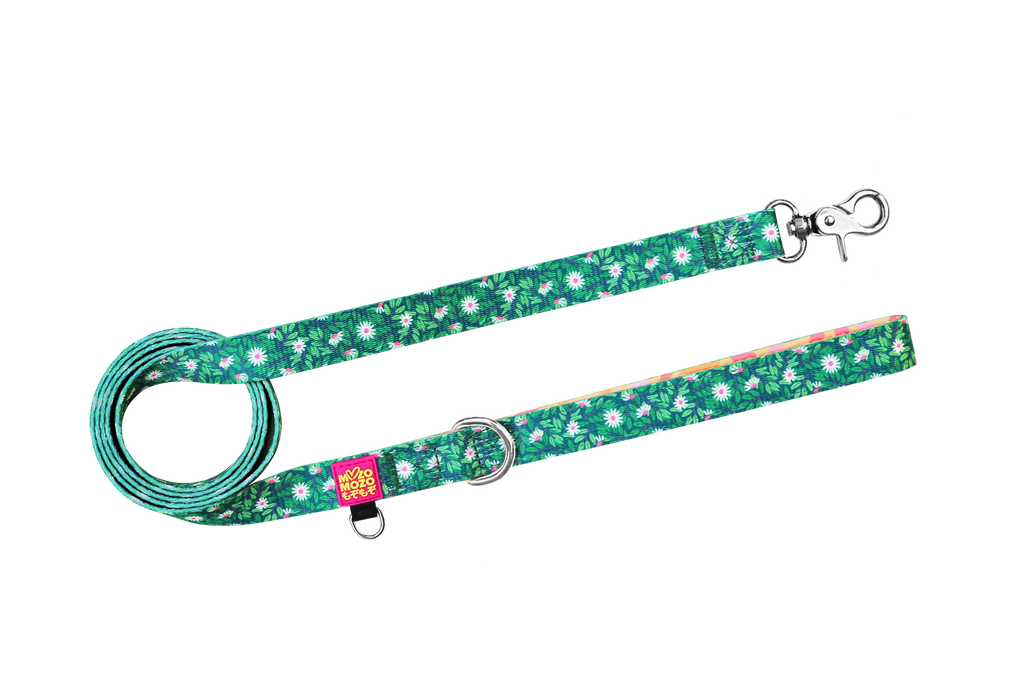 Padded polyester dog lead/leash. 