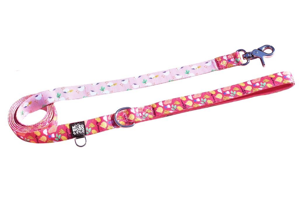 Padded polyester dog lead/leash. Fish and chips design.