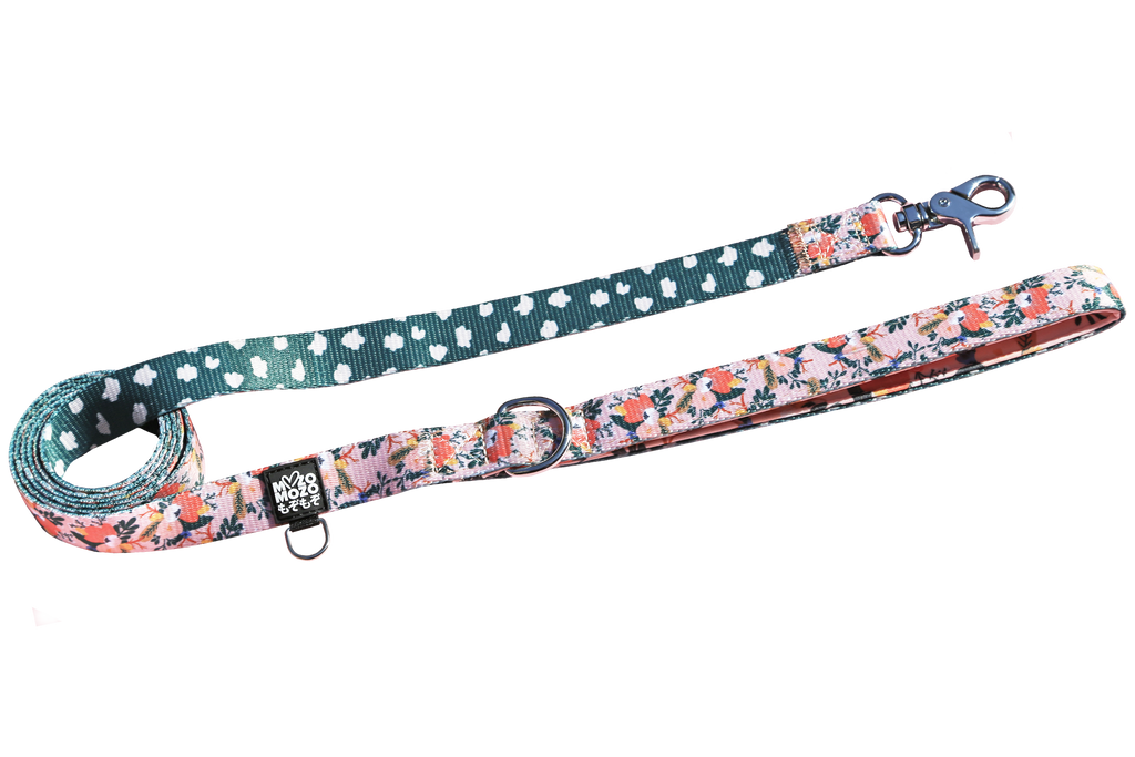 Padded polyester dog lead/leash. Flower patch design.