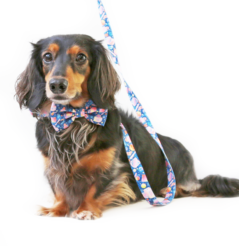 Padded polyester dog lead/leash. 